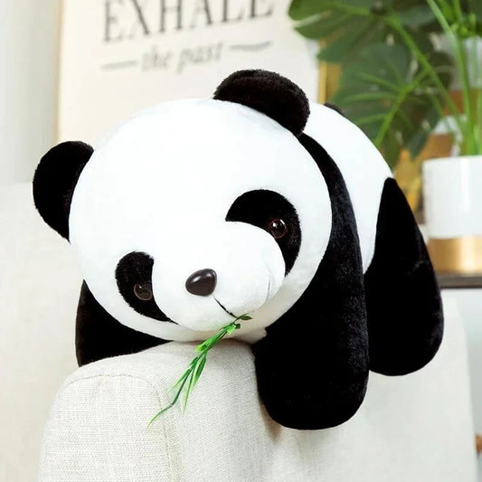 Bamboo le Panda Douillet 🐼