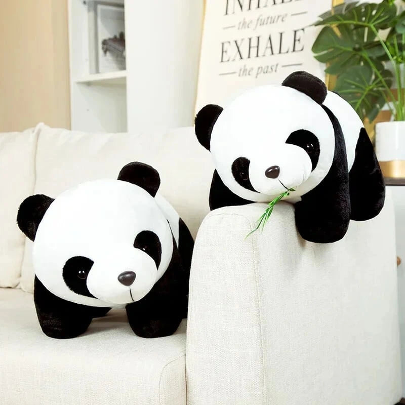 Bamboo le Panda Douillet 🐼